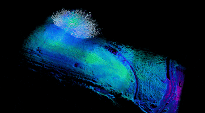 Hilly Farmland LiDAR