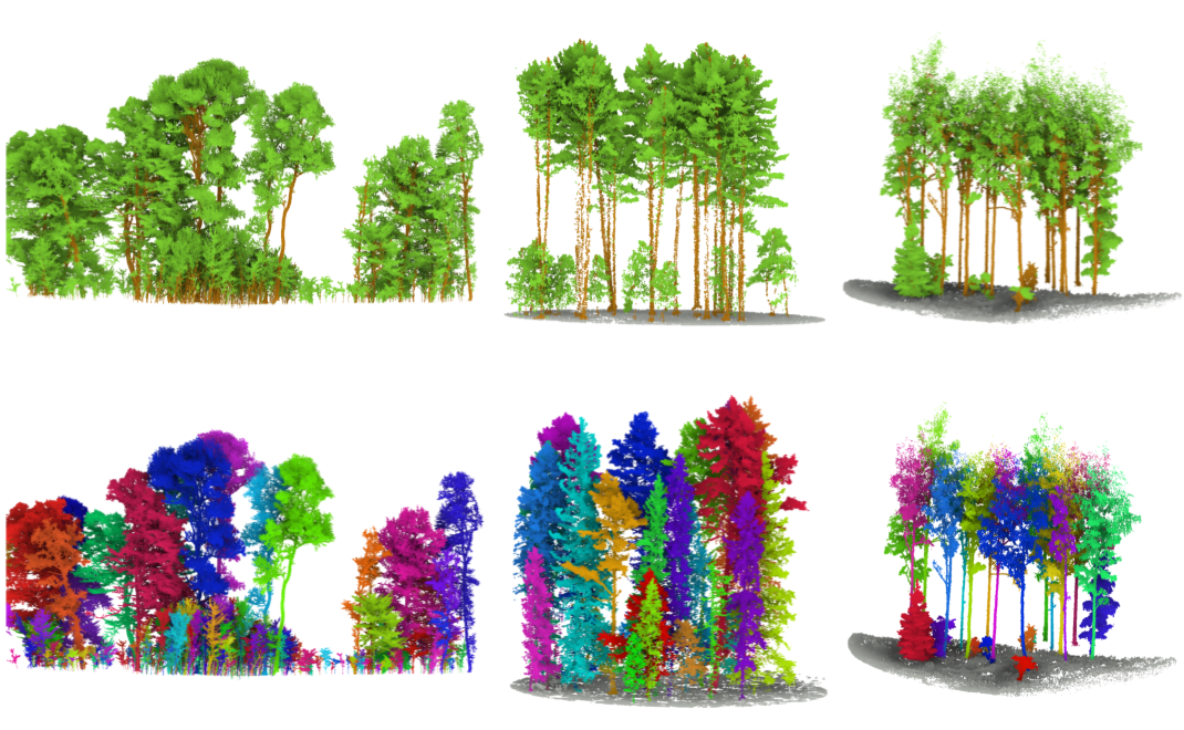 Preview image for ForestQuery